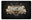 XRacing Motorsport NZ logo